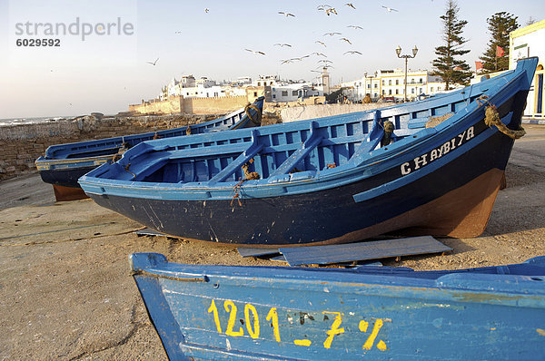 Das alte Fischerei Hafen  Essaouira  Marokko  Nordafrika  Afrika