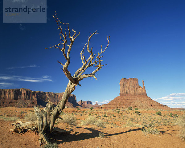 Vereinigte Staaten von Amerika USA Felsbrocken Landschaft Steilküste Tal Wüste Anordnung Monument Hintergrund Nordamerika Arizona