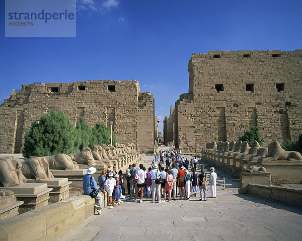 Masse der Touristen auf die Prozessionsstraße Allee  Widder-vorangegangenen Sphinxe  Tempel von Karnak  Theben  UNESCO Weltkulturerbe  Ägypten  Nordafrika  Afrika