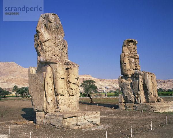 Statuen von Amenophis oder Amenophis III  bekannt als die Kolosse von Memnon in Theben  UNESCO World Heritage Site  Ägypten  Nordafrika  Afrika