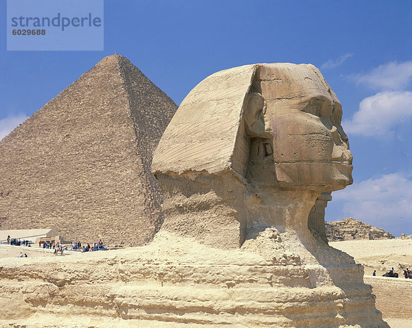 Die große Sphinx und einer der die Pyramiden von Gizeh  UNESCO Weltkulturerbe  Kairo  Ägypten  Nordafrika  Afrika