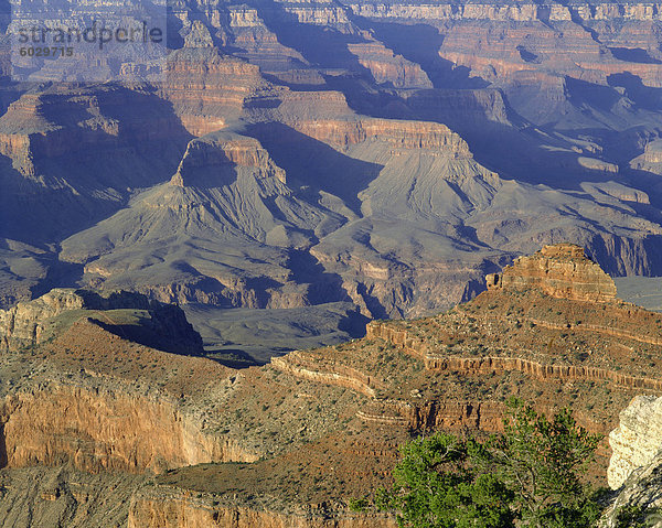 Der Grand Canyon gesehen vom Mather Point  UNESCO Weltkulturerbe  Arizona  USA  Nordamerika