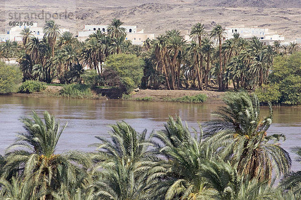 Die Oase der Sesibi  gegründet im XVIII Dynastie  3. Katarakt des Flusses Nil  Nubien  Sudan  Afrika