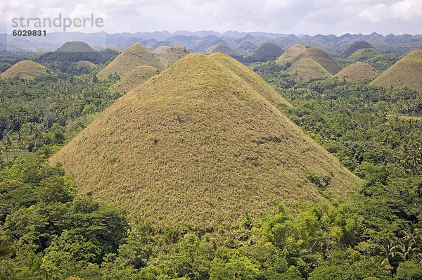 Die Chocolate Hills  Hügel der Erde wo Gräser von Grün im Sommer  geheimnisvolle Herkunft  Bohol Island  die Philippinen  Südostasien  Asien braune abbiegen