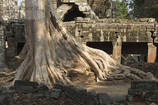 Banteay Kdei Tempel  Angkor Thom  Angkor  UNESCO Weltkulturerbe  Siem Reap  Kambodscha  Indochina  Südostasien  Asien