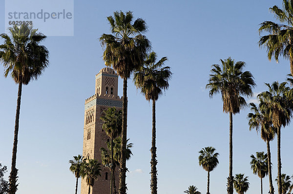 Das Koutoubia-Minarett im Herzen der alten Medina neben einer Moschee des gleichnamigen  gebaut im 12. Jahrhundert  Marrakesch  Marokko  Nordafrika  Afrika