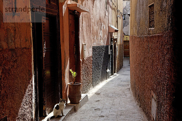 Die Medina  Marrakesch  Marokko  Nordafrika  Afrika