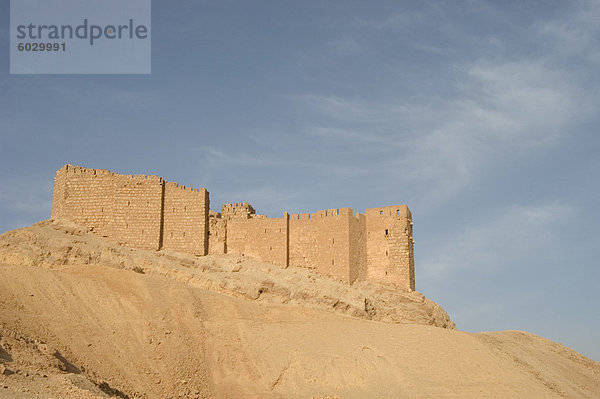 Qala'at ibn Maan Zitadelle Burg  archäologische Ruinen  Palmyra in Syrien  Naher Osten