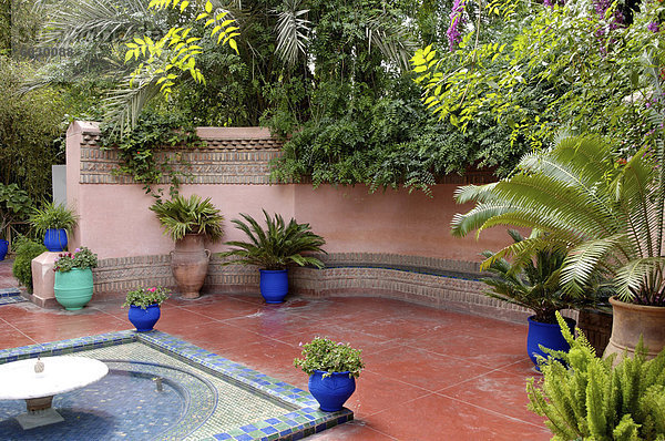 Majorelle Garten  erstellt von der französischen Tischlers Louis Majorelle und wiederhergestellt  indem die Modeschöpfer Yves Saint Laurent  Marrakesch  Marokko  Nordafrika  Afrika