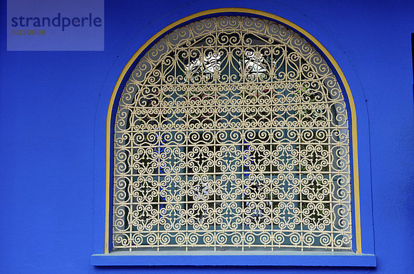 Majorelle Garten  erstellt von der französischen Tischlers Louis Majorelle und wiederhergestellt  indem die Modeschöpfer Yves Saint Laurent  Marrakesch  Marokko  Nordafrika  Afrika