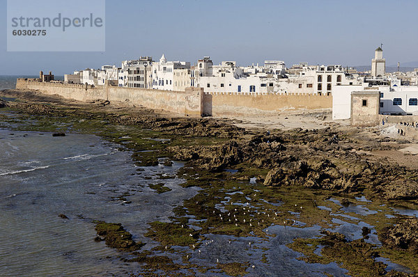 Altstadt am Wasser hinter Wällen  Essaouira  historische Stadt Mogador  Marokko  Nordafrika  Afrika