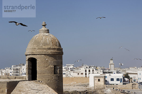 Altstadt am Wasser hinter Wällen  Essaouira  historische Stadt Mogador  Marokko  Nordafrika  Afrika