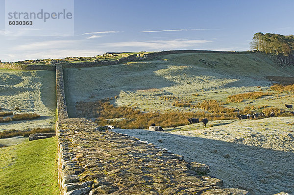 Hadrianswall und lag römische Festung  UNESCO World Heritage Site  Northumbria  England  Vereinigtes Königreich  Europa