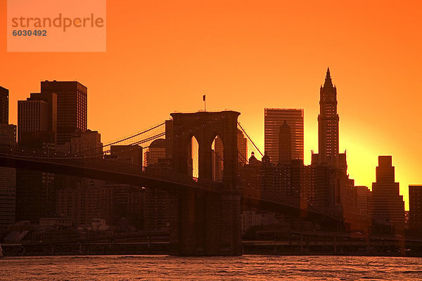 Untere Manhattan Skyline gesehen aus Brooklyn Bridge Park  Brooklyn  New York City  New York  Vereinigte Staaten von Amerika  Nordamerika