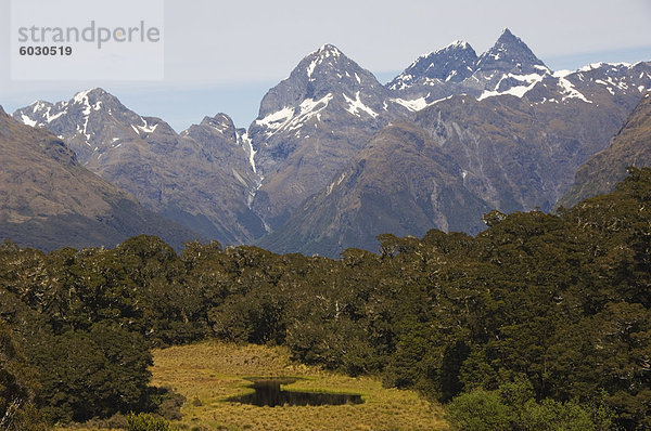 Ein Berg Tarn und Schnee bedeckten Berge auf dem Routeburn Track  einer der großen Wanderungen von Neuseeland  Fiordland-Nationalpark  UNESCO Weltkulturerbe  Südinsel  Neuseeland  Pazifik