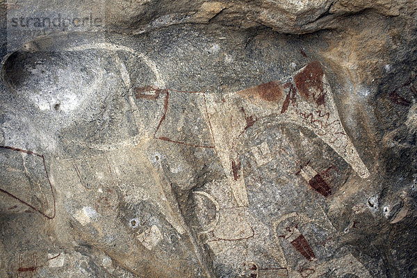 Fünf tausend Jahre alten Höhlenmalereien in Lass Geel Höhlen  Somaliland  Nordsomalia  Afrika