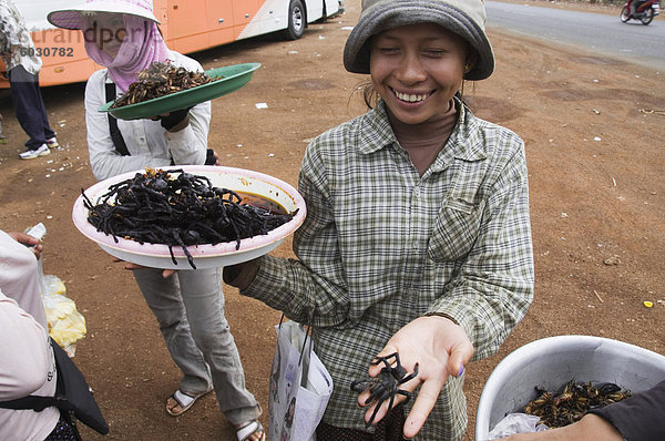 Gekochte Spinnen für das Essen im Markt  Kambodscha  Indochina  Südostasien  Asien