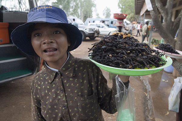 Gekochte Spinnen für das Essen im Markt  Kambodscha  Indochina  Südostasien  Asien