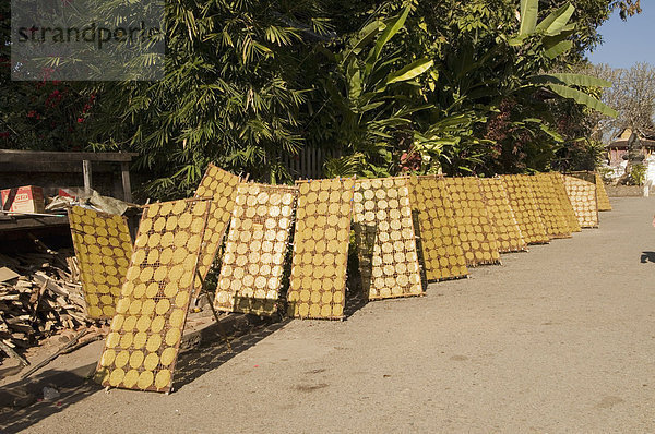 Cracker Trocknen in der Sonne  Luang Prabang  Laos  Indochina  Südostasien  Asien