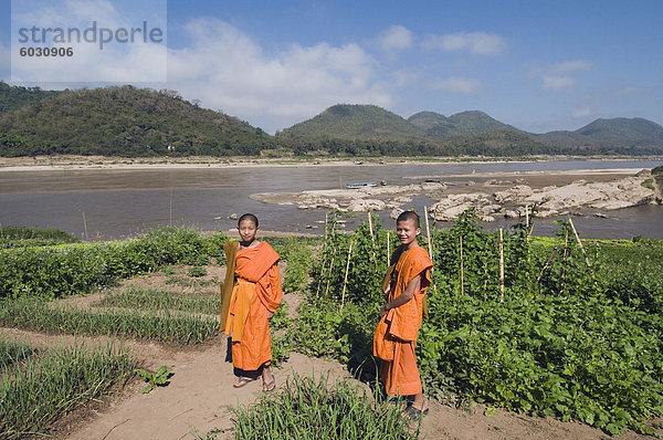 Mönche von Seite des Mekong River  Luang Prabang  Laos  Indochina  Südostasien  Asien