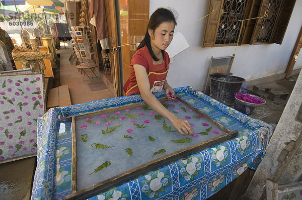 Herstellung von Papier im Dorf in der Nähe von Luang Prabang  Laos  Indochina  Südostasien  Asien