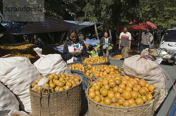 Orangen im Markt  Luang Prabang  Laos  Indochina  Südostasien  Asien