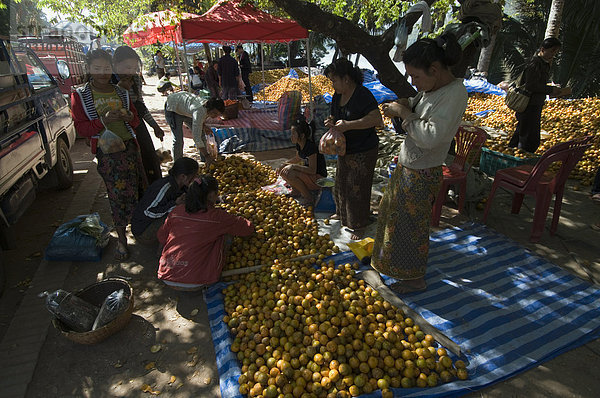 Orangen im Markt  Luang Prabang  Laos  Indochina  Südostasien  Asien