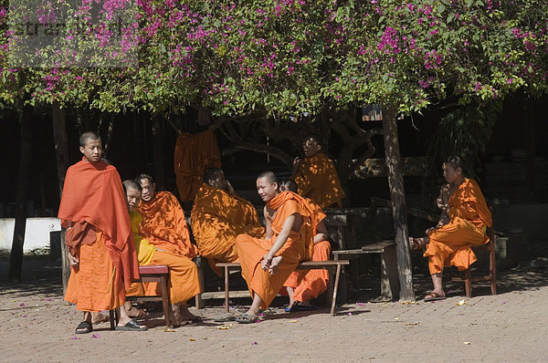 Mönche  Luang Prabang  Laos  Indochina  Südostasien  Asien