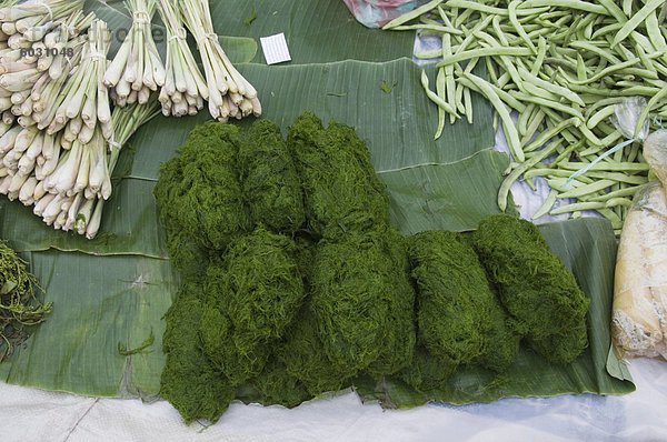 Morgen Lebensmittelmarkt  Luang Prabang  Laos  Indochina  Südostasien  Asien