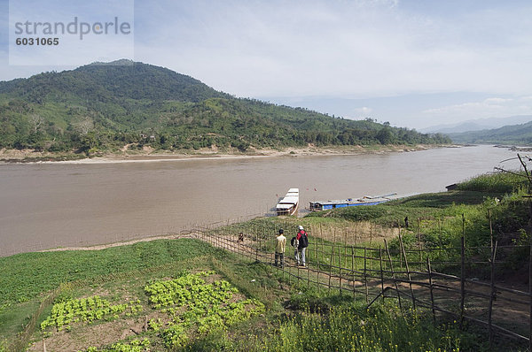 Nutzpflanze Fluss Dorf Zimmer Seitenansicht Südostasien Vietnam Asien Laos