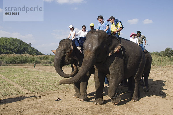 Urlaub Elefant Südostasien Asien Thailand