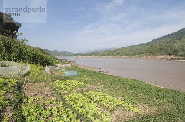 Nutzpflanze Fluss Dorf Zimmer Seitenansicht Südostasien Vietnam Asien Laos