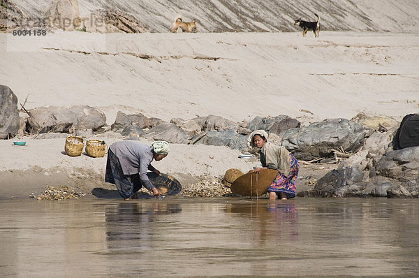 Goldwaschen  Mekong River  Laos  Indochina  Südostasien  Asien