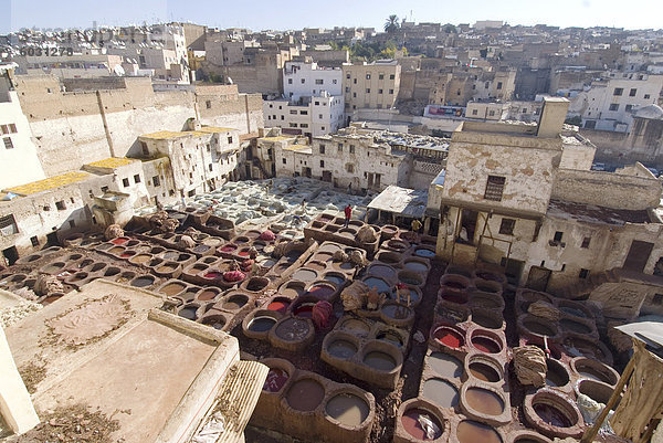 Die Gerbereien  Fes  Marokko  Nordafrika  Afrika