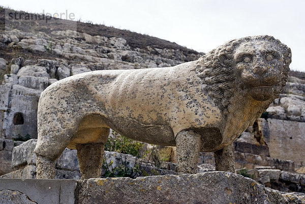 Löwe Statue  Tempel des Apollon  Heiligtum des Apollon  griechischen und römischen Website von Kyrene  UNESCO World Heritage Site  Libyen  Nordafrika  Afrika