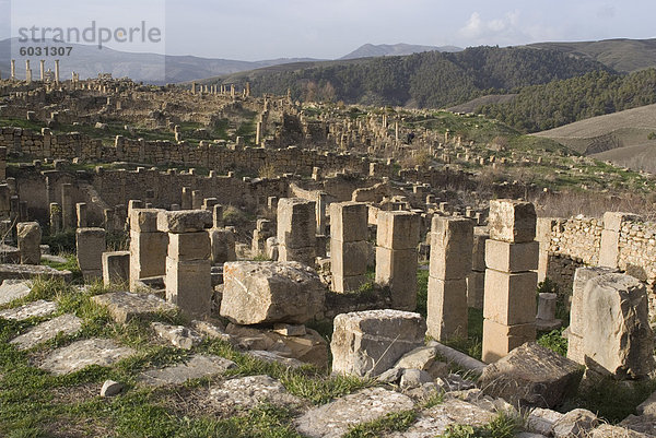 Mit Blick auf die römische Seite des Djemila  UNESCO Weltkulturerbe  Algerien  Nordafrika  Afrika