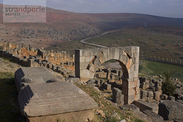 Bogen von f. Memmius Rogatus  Tiddis  Algerien  Nordafrika  Afrika