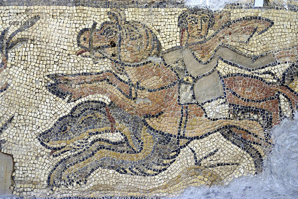 Mosaik  derzeit im Museum  entnommen aus der griechischen und römischen Website von Kyrene  Nordafrika  Afrika