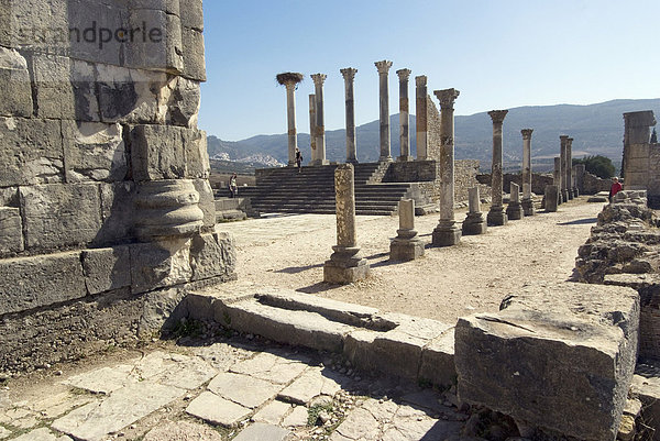 Forum  römische Website von Volubilis  UNESCO World Heritage Site  Marokko  Nordafrika  Afrika