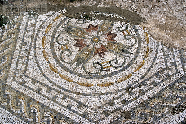 Mosaik aus römischen Cherchell  begraben unter der neuen Stadt  Cherchell  Algerien  Nordafrika  Afrika