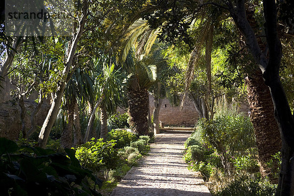 Gärten in der Festung von Chellah  in der Nähe von die römische Website Sala Colonia  Rabat  Marokko  Nordafrika  Afrika