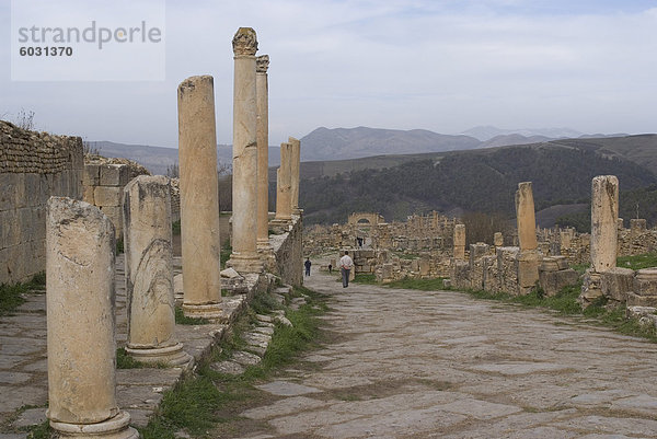 Cardo (der Nord-Süd Hauptstrae)  römische Website Djemila  UNESCO World Heritage Site  Algerien  Nordafrika  Afrika