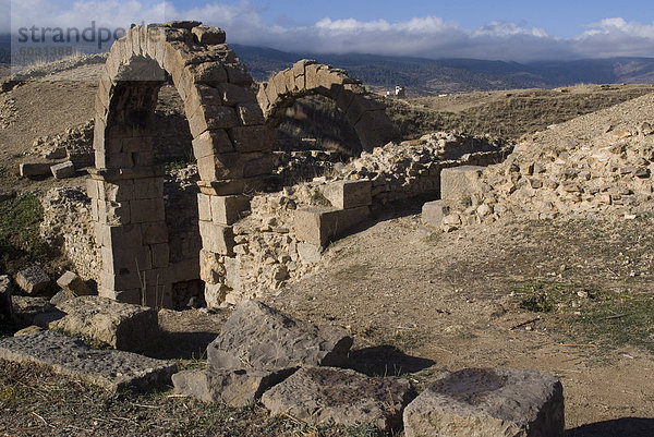 Amphitheater  römische Ruinen  Kastell Lambaesis  Algerien  Nordafrika  Afrika