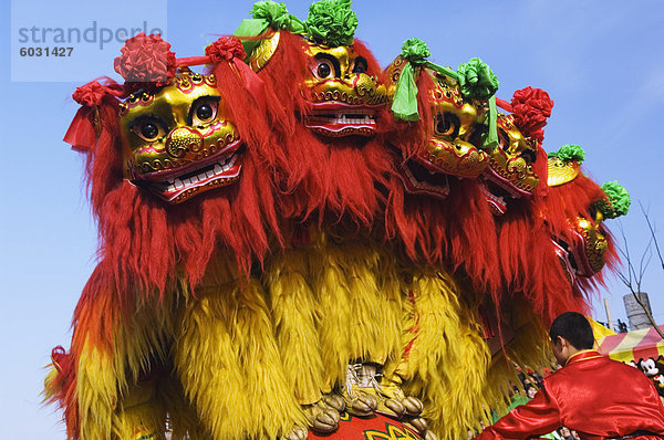 Lion Dance  Chinesisches Neujahr  Frühlingsfestival  Peking  China  Asien