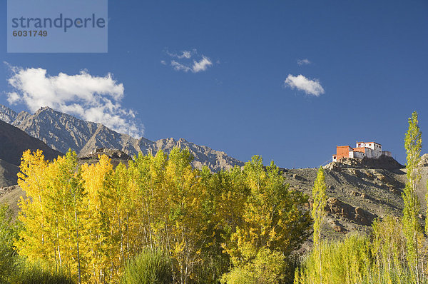 Matho Gompa (Kloster) und Stok Kangri-massiv  Ladakh  indischen Himalaya  Indien  Asien