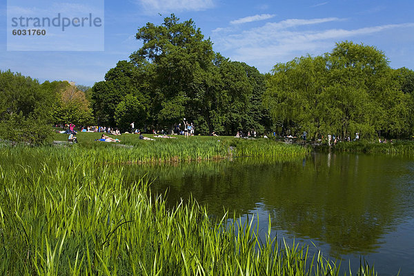 Schildkröten Sie Teich-Gebiet in Central Park  New York City  New York  Vereinigte Staaten von Amerika  Nordamerika