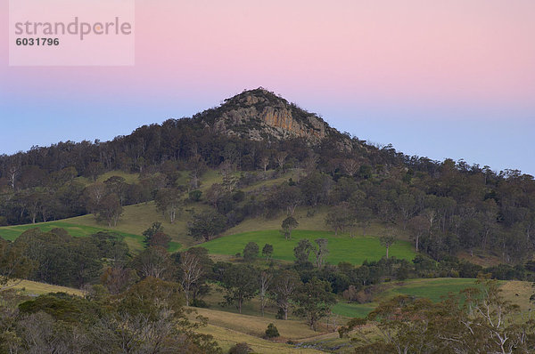 Dromedar (Najanuga)  zentrale Tilba  New-South.Wales  Australien  Pazifik