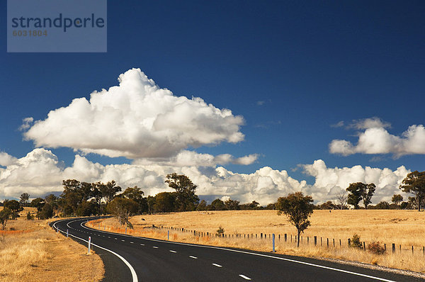 Road  nahe Armidale  New South Wales  Australien  Pazifik