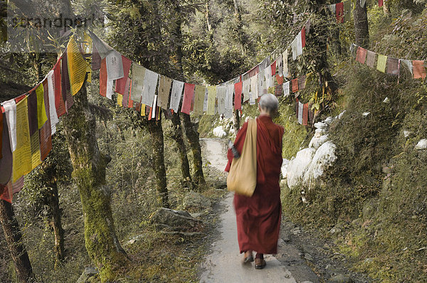 Buddhistischer Mönch zu Fuß nach unten Weg  McLeod Ganj  Dharamsala  Himachal Pradesh  Indien  Asien