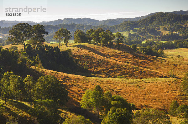 Ackerland  Murwillumbah  neue South Wales  Australien  Pazifik